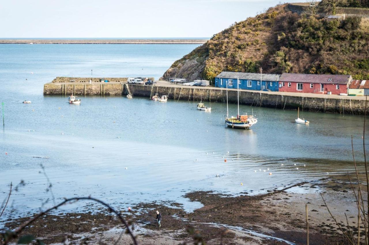Rock Cottage - 3 Bedroom Holiday Home - Fishguard Exteriör bild